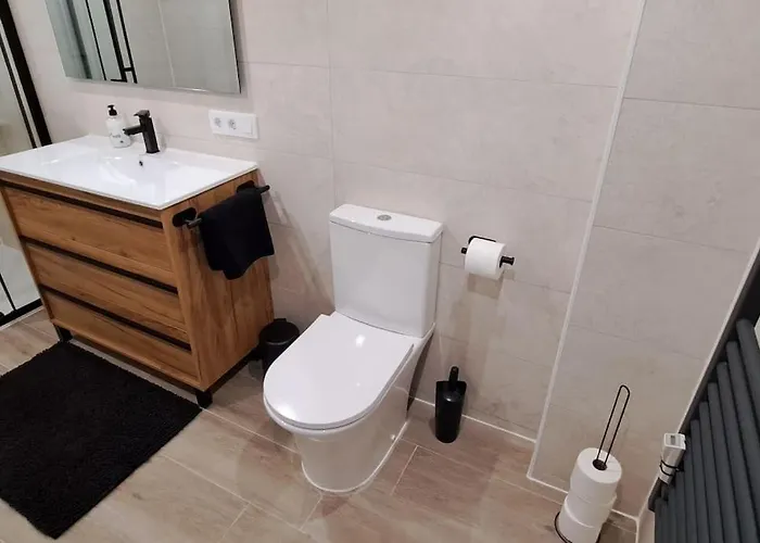 Piso Acogedor En Pirineos Sabiñánigo